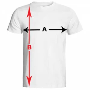 T-shirt (tişört)