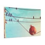 Angry Birds kanvas tablo