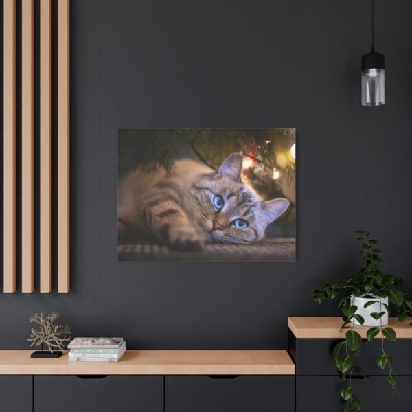 Mavi Gözlü Kedi kanvas tablo