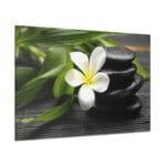 Masaj Taşı ve Çiçek kanvas tablo