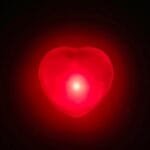 Dekoratif Kalpli Ledli Süsler - 12'li Klasik