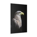 Asil Kartal Kanvas Tablo