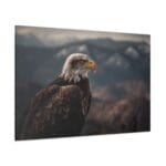 Siyah Kartal Kanvas Tablo