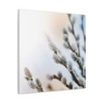 Söğüt Dalları kanvas tablo