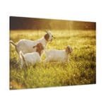 Yavru Keçiler ve Annesi kanvas tablo