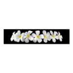 Frangipanies Çiçekleri Kanvas Tablo