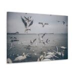 Denizdeki Martılar kanvas tablo