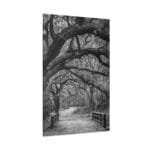 Köprüde Yaprak Dökmüş Ağaçlar kanvas tablo