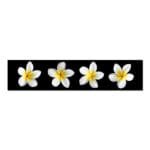 Papatyalar kanvas Tablo