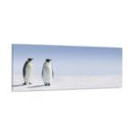 Penguenler kanvas tablo