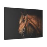 Kahverengi At kanvas tablo