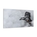 Şahlanan Siyah At kanvas tablo