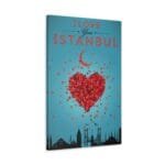 I Love You İstanbul kanvas tablo