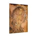 Salvador Dali Gala Kanvas Tablo